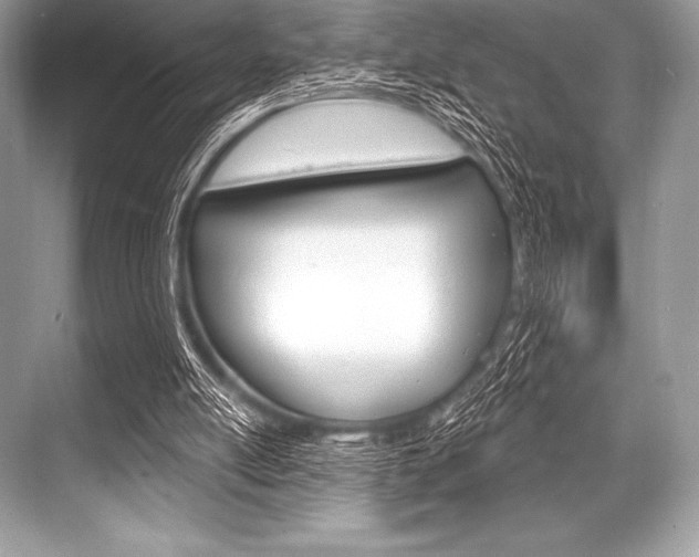 X0000068810054200605050927