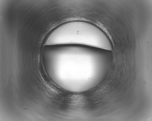 X0000068810063200605050927