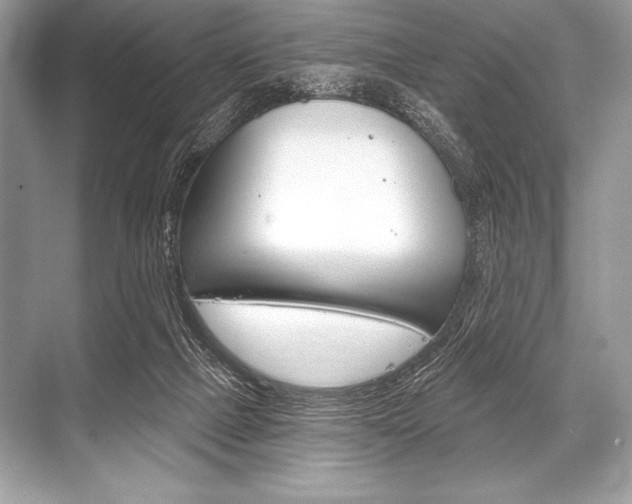 X0000068810073200605050927