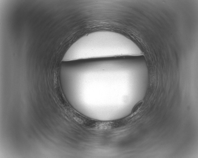 X0000068810078200605050927