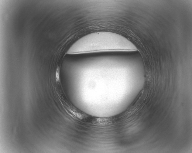 X0000068810095200605050928