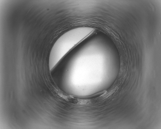 X0000068810096200605050928