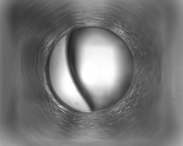 X0000068810097200605050927