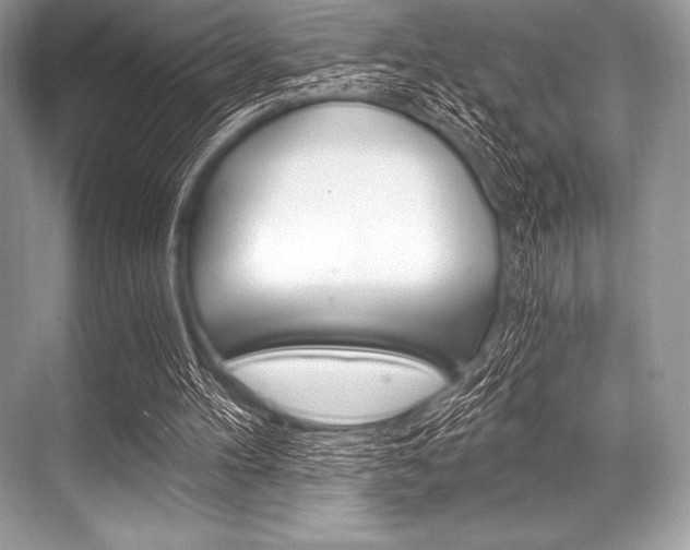X0000068810100200605050927