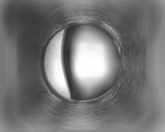 X0000068810105200605050927