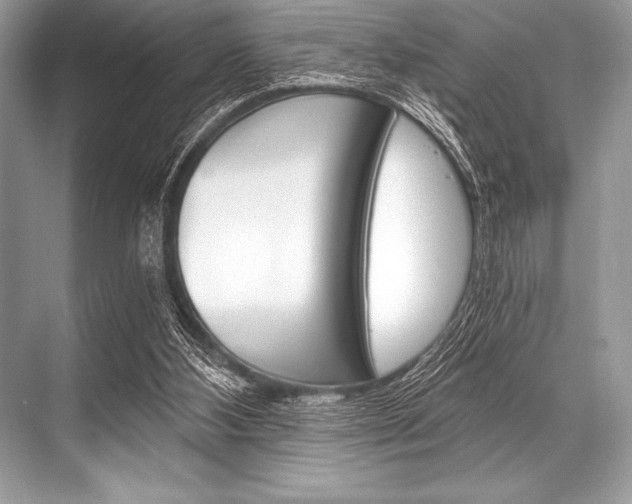 X0000068810108200605050927