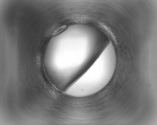 X0000068810113200605050927