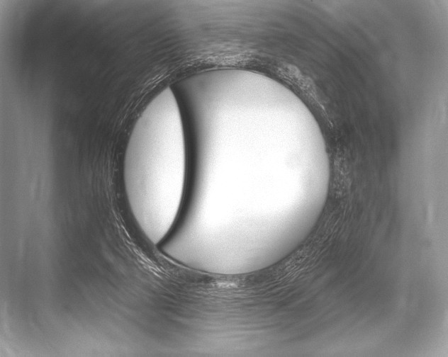 X0000068810114200605050926
