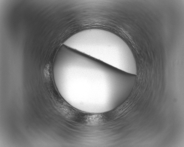 X0000068810122200605050926