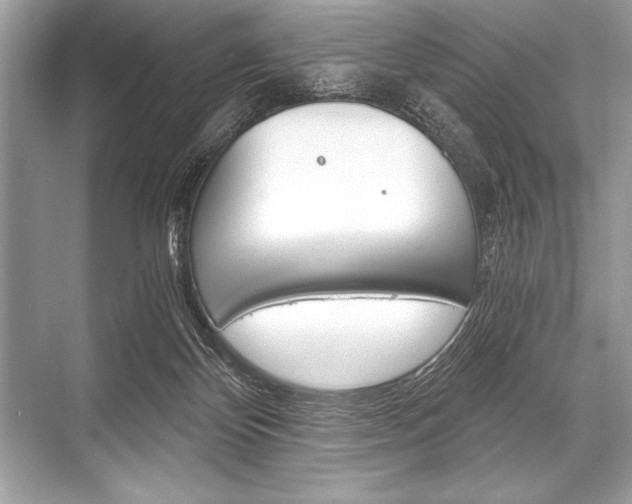 X0000068810124200605050926