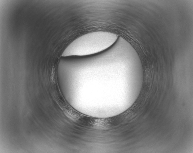 X0000068810130200605050926