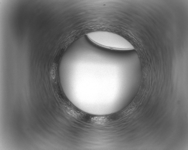 X0000068810133200605050926