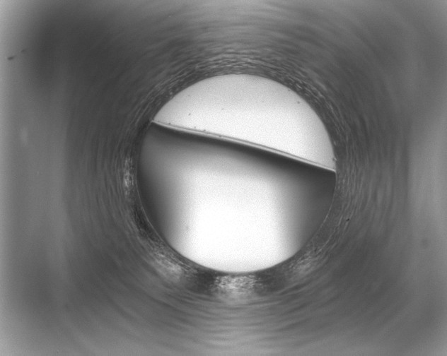 X0000068810135200605050926
