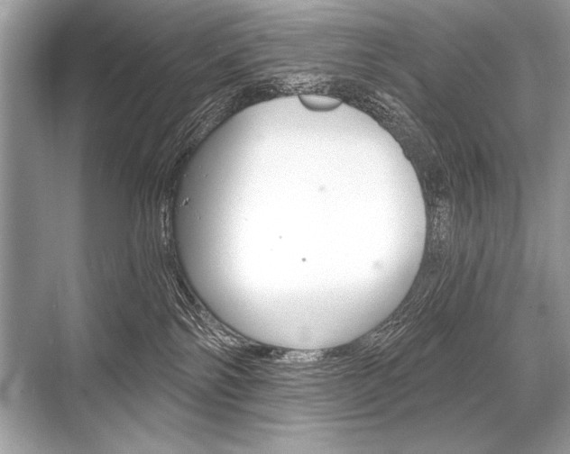 X0000068810138200605050926