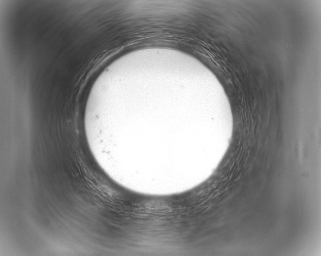 X0000068810146200605050925