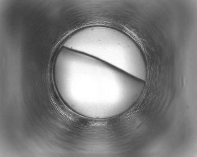 X0000068810155200605050925