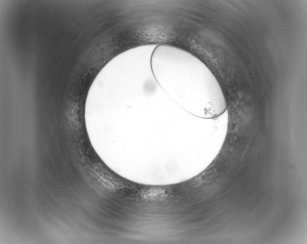 X0000068810162200605050925