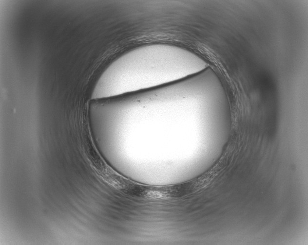 X0000068810167200605050926
