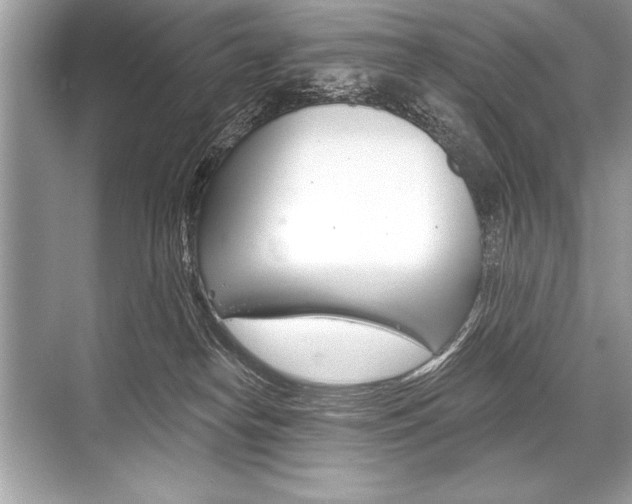 X0000068810182200605050926