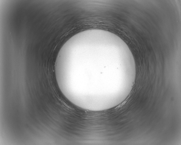 X0000068810184200605050926