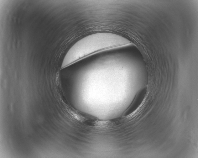 X0000068810192200605050926