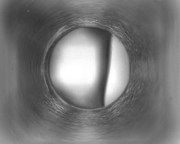 X0000068810195200605050925