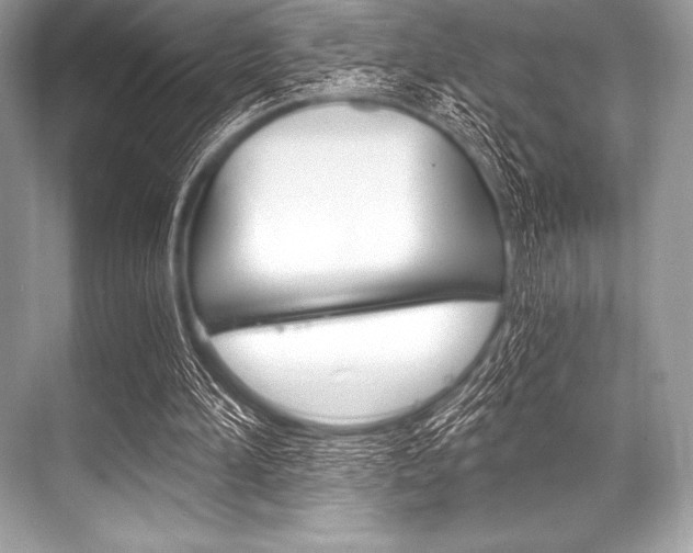 X0000068810196200605050925