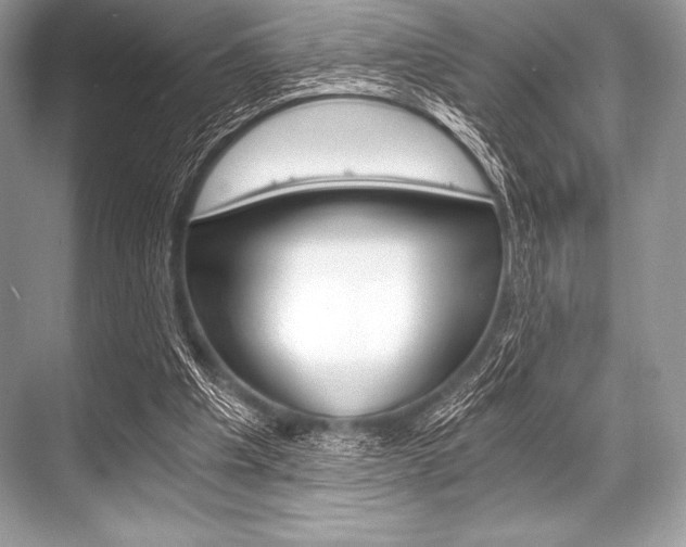 X0000068810201200605050925