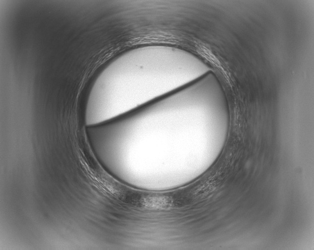 X0000068810202200605050925