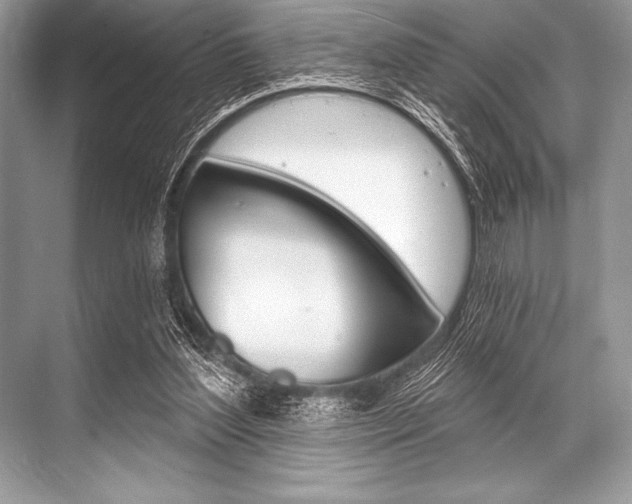 X0000068810204200605050925