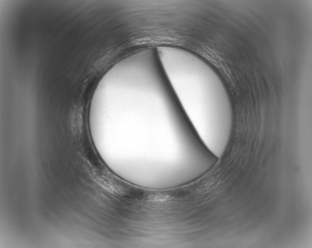 X0000068810206200605050925