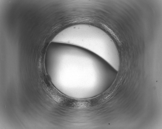 X0000068810209200605050925
