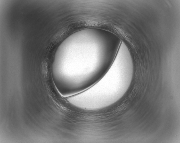 X0000068810211200605050925