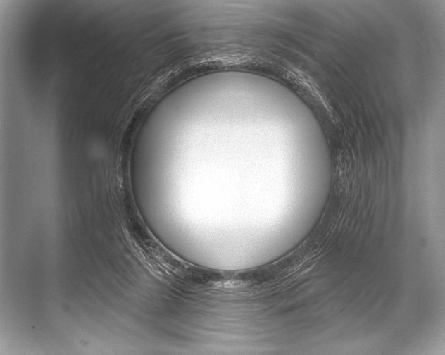 X0000068810212200605050925