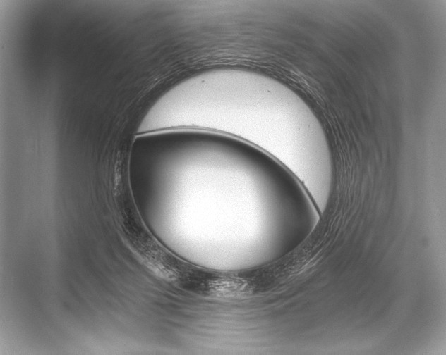 X0000068810215200605050925