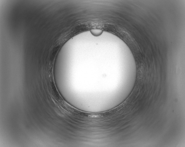 X0000068810218200605050925