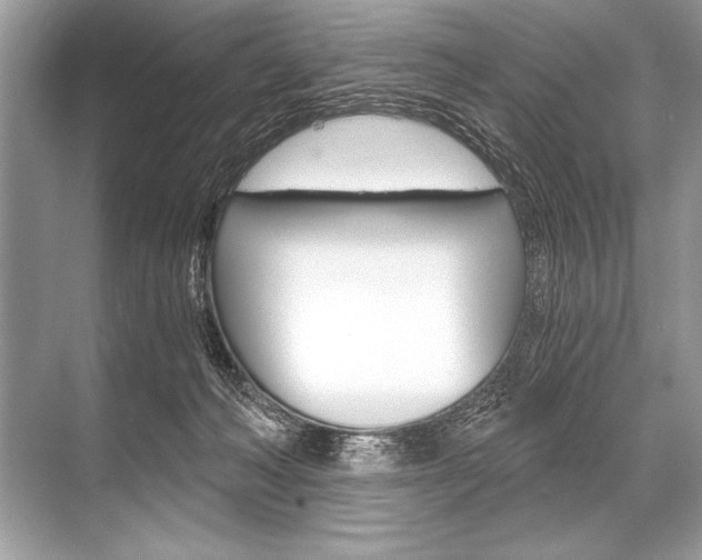 X0000068810222200605050925