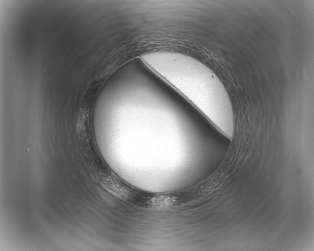 X0000068810225200605050925