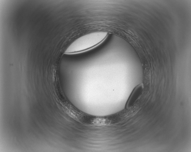 X0000068810227200605050925