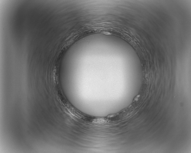 X0000068810231200605050925