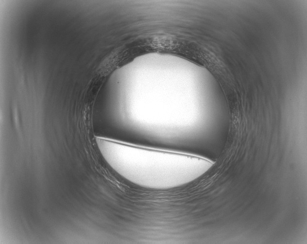 X0000068810233200605050924