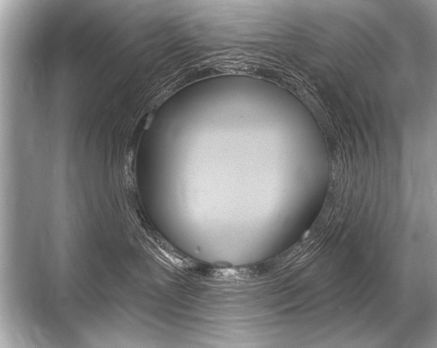 X0000068810239200605050924