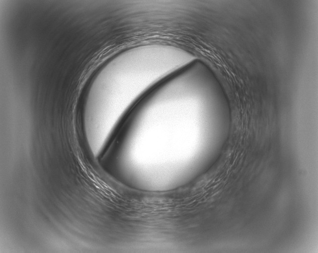 X0000068810242200605050924