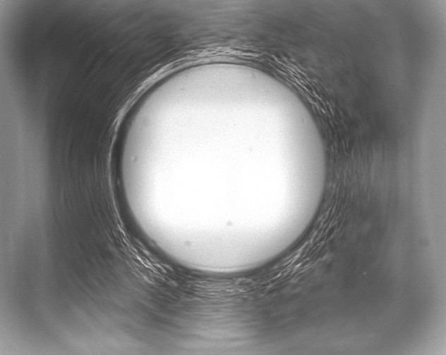 X0000068810244200605050924