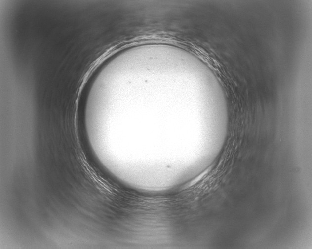 X0000068810248200605050924