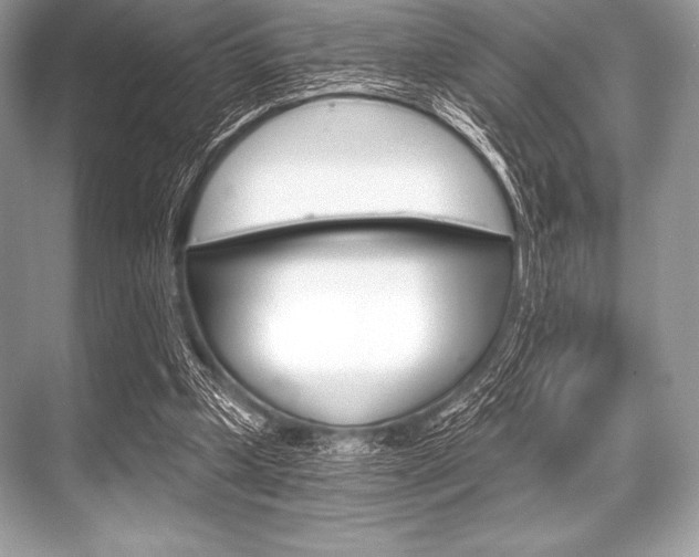 X0000068810249200605050924