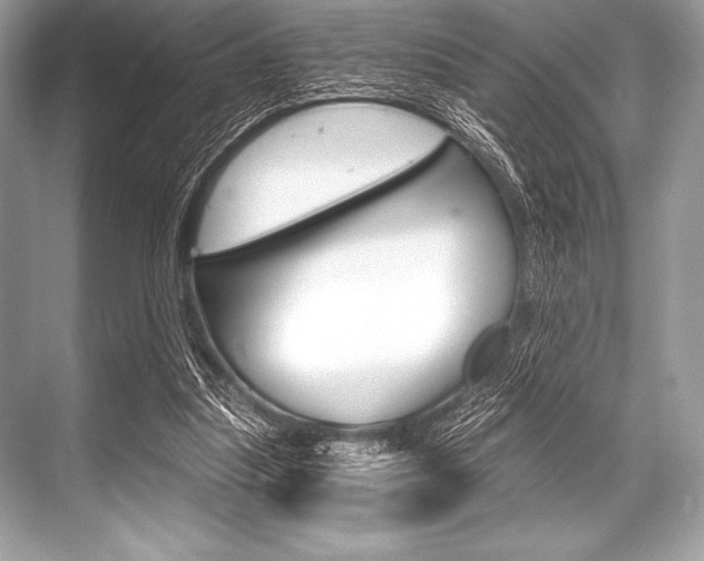 X0000068810251200605050924