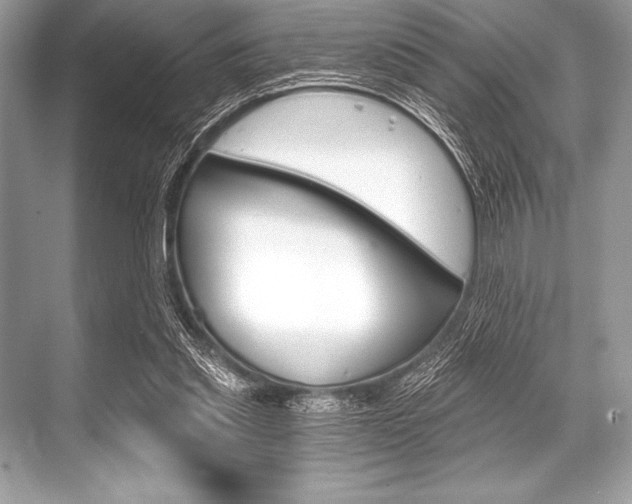 X0000068810253200605050924