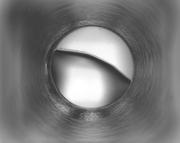 X0000068810254200605050924