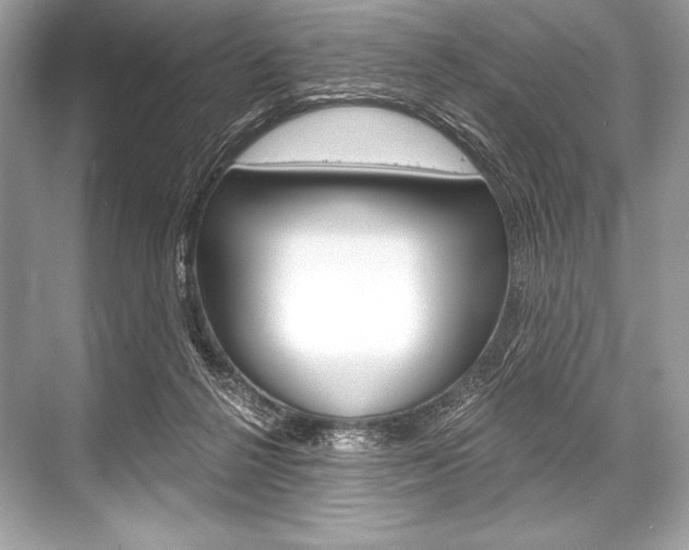 X0000068810264200605050924